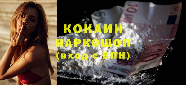 шишки Аркадак