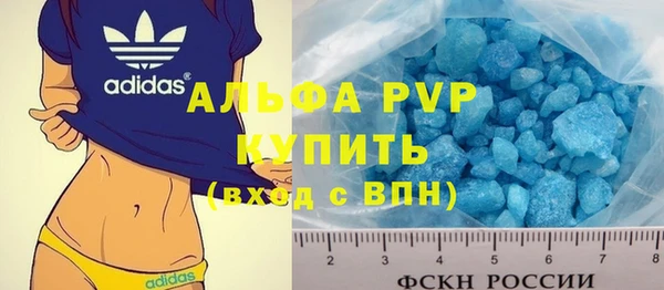шишки Аркадак