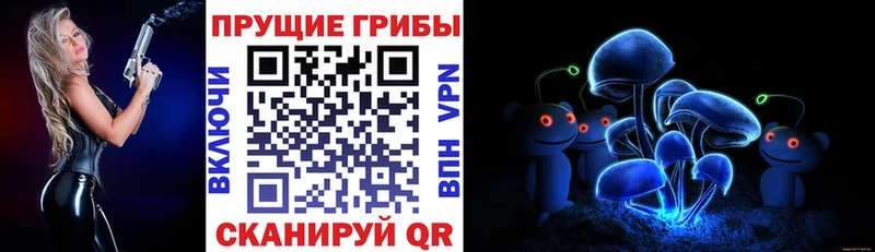 закладка  Кемь  kraken tor  Псилоцибиновые грибы прущие грибы 
